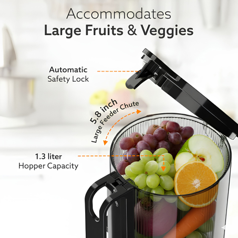 AGARO Regal Cold Press Slow Juicer, 250 Watt DC Motor, Easy Assembly & Cleaning, Auto Reverse, Advanced Safety Lock, Fruit & Vegetable Juicer & Nut Milk, Stainless Steel Filter, BPA Free Plastic