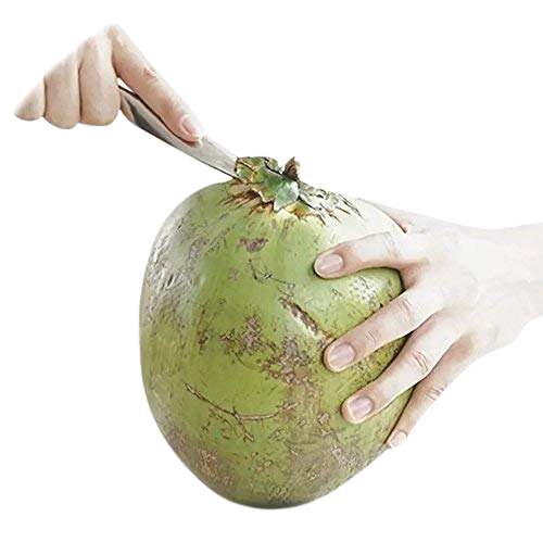 Vstar Stainless Steel Coconut Opener Tool | Driller | Easy and Comfortable Grip Safe for Your Hands - Premium coconut opener from Vstar - Just Rs. 299! Shop now at Surana Sons