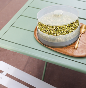 Anjali Super Sprout Diet Deck Single & Double - Premium Sprout diet Box from Surana Sons - Just Rs. 228! Shop now at Surana Sons