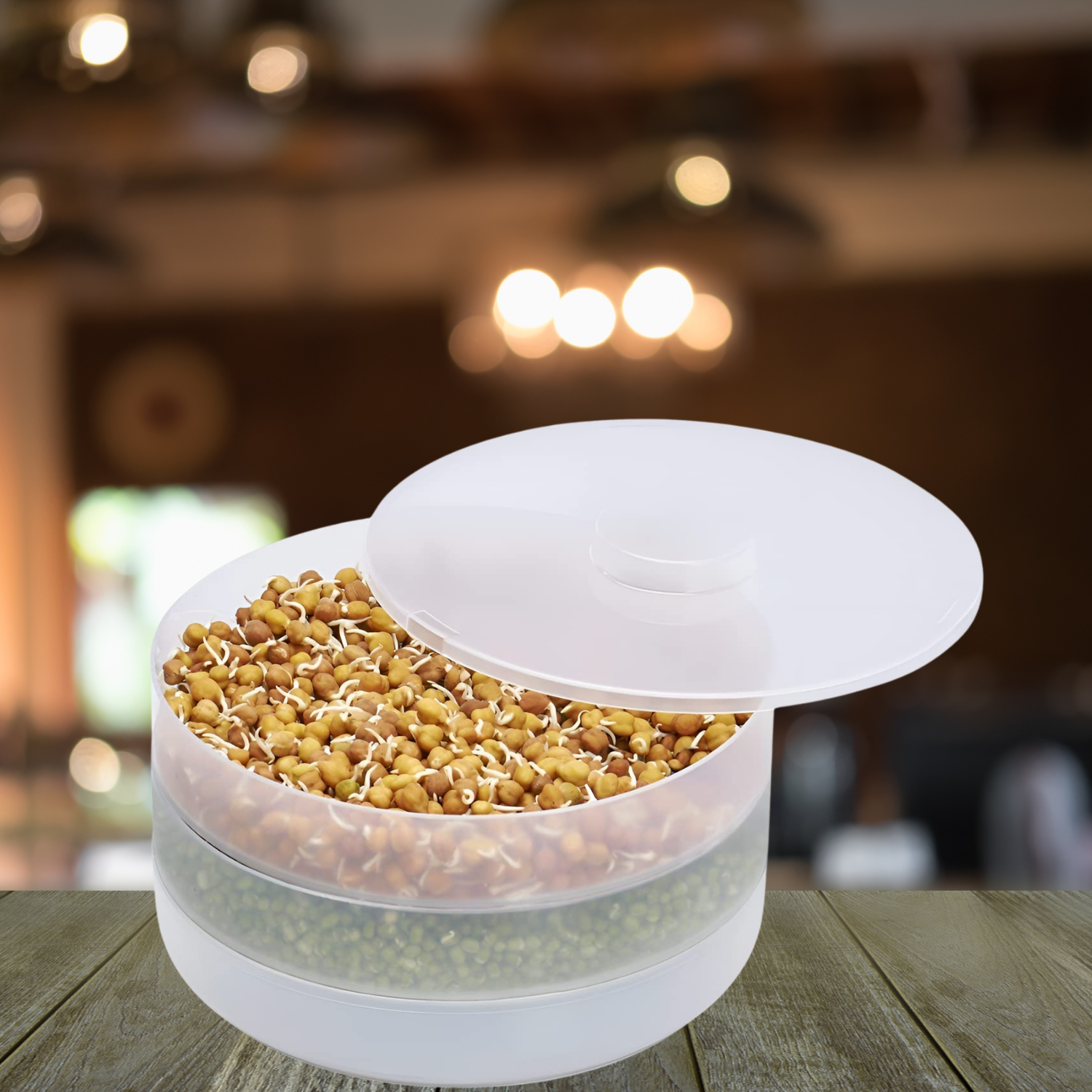Anjali Super Sprout Diet Deck Single & Double - Premium Sprout diet Box from Surana Sons - Just Rs. 228! Shop now at Surana Sons