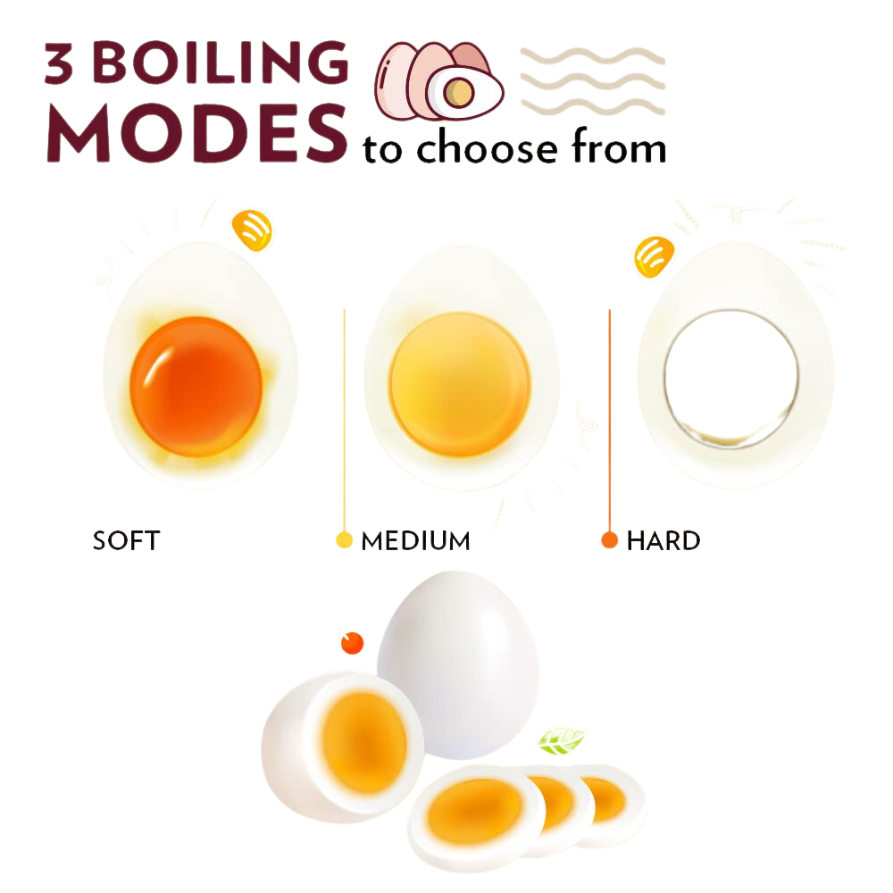 Borosil Electric Egg Boiler, For Hard, Soft, Medium Boiled Eggs, Steamed Vegetables, Transparent Lid, Stainless Steel Exterior - Premium Egg Boiler from borosil - Just Rs. 1450! Shop now at Surana Sons